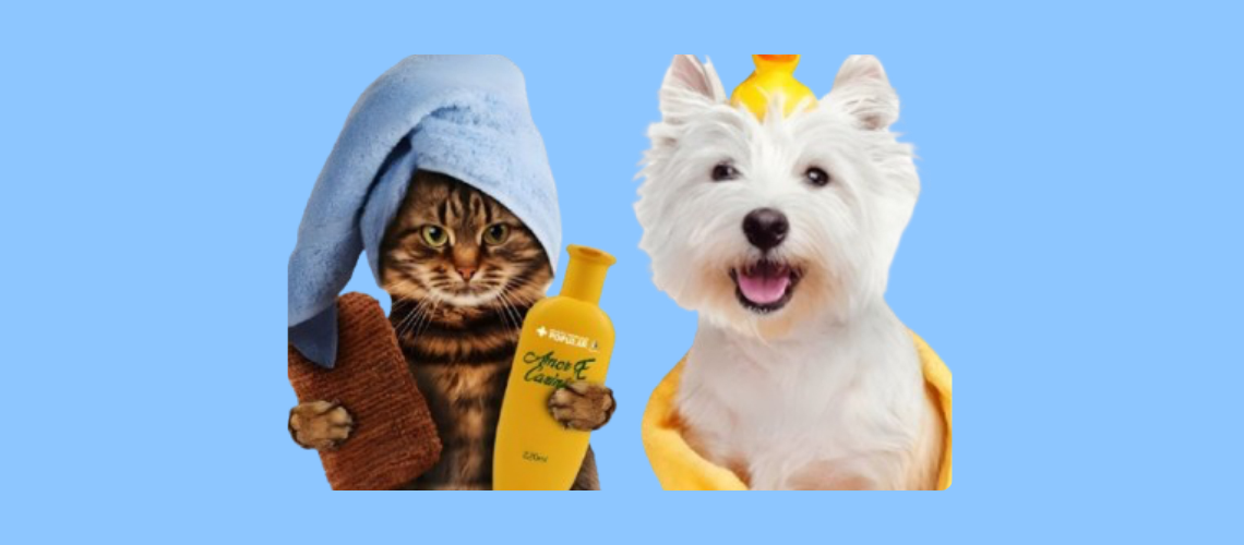 grooming service